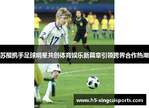 苏醒携手足球明星共创体育娱乐新篇章引领跨界合作热潮