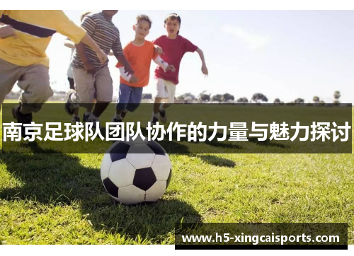 南京足球队团队协作的力量与魅力探讨