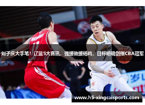 刘子庆大手笔！辽篮5大喜讯，强援驰援杨鸣，目标明确剑指CBA冠军