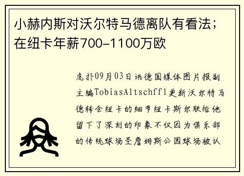 小赫内斯对沃尔特马德离队有看法；在纽卡年薪700-1100万欧